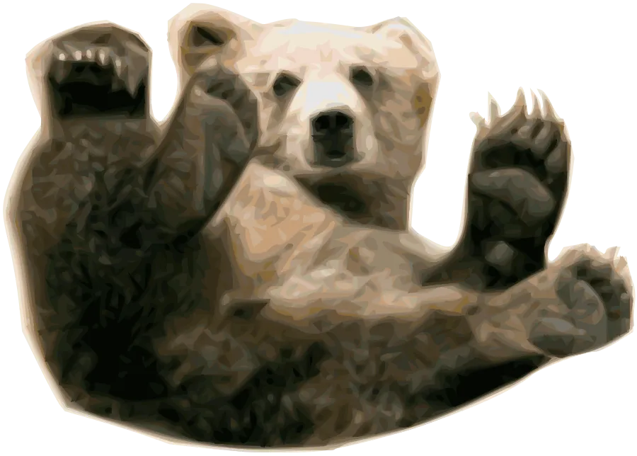 bear low poly, geometric design, modern art png